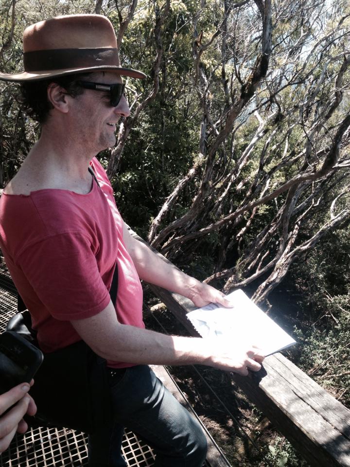 mount warning summit,Mark drawing